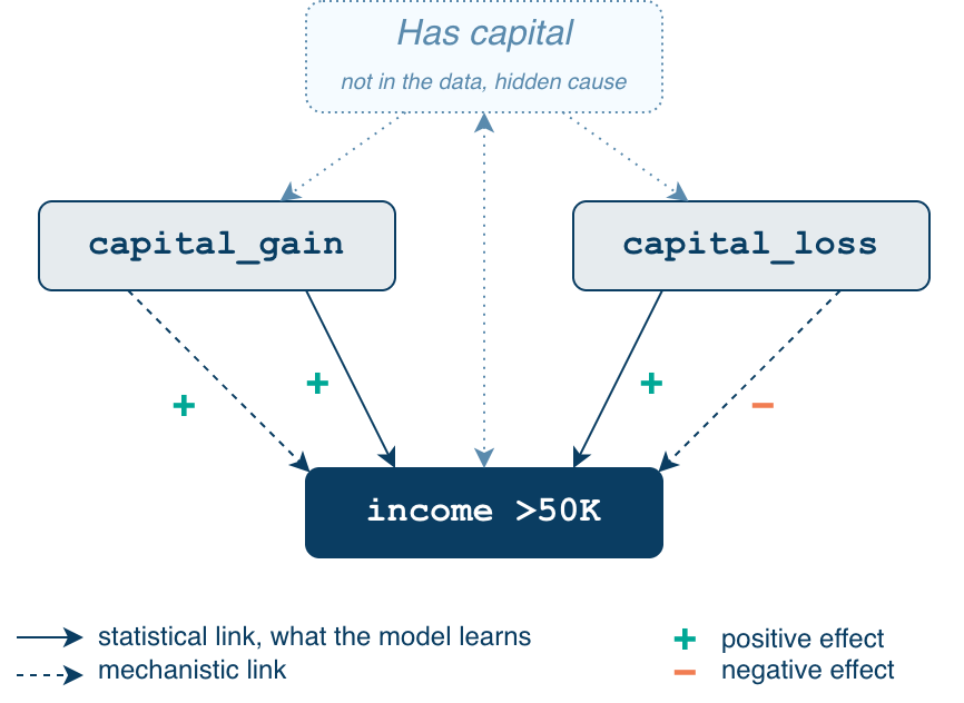 Having capital, which is not in the data, leads to capital gains and losses, and goes hand in hand with a high income (double arrow). Statistically, both capital_gain and capital_loss go with a higher income (solid arrows, what the model learns). Mechanistically, a gain adds to income and a loss takes away from it (dashed arrows).